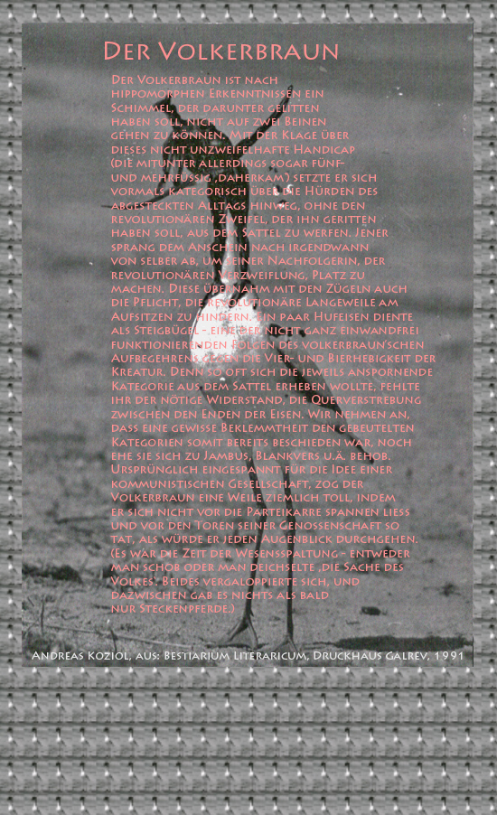 Bild von Juliane Duda mit den Übermalungen von C.M.P. Schleime und den Texten von Andreas Koziol aus seinem Bestiarium Literaricum. Hier „Der Volkerbraun“.