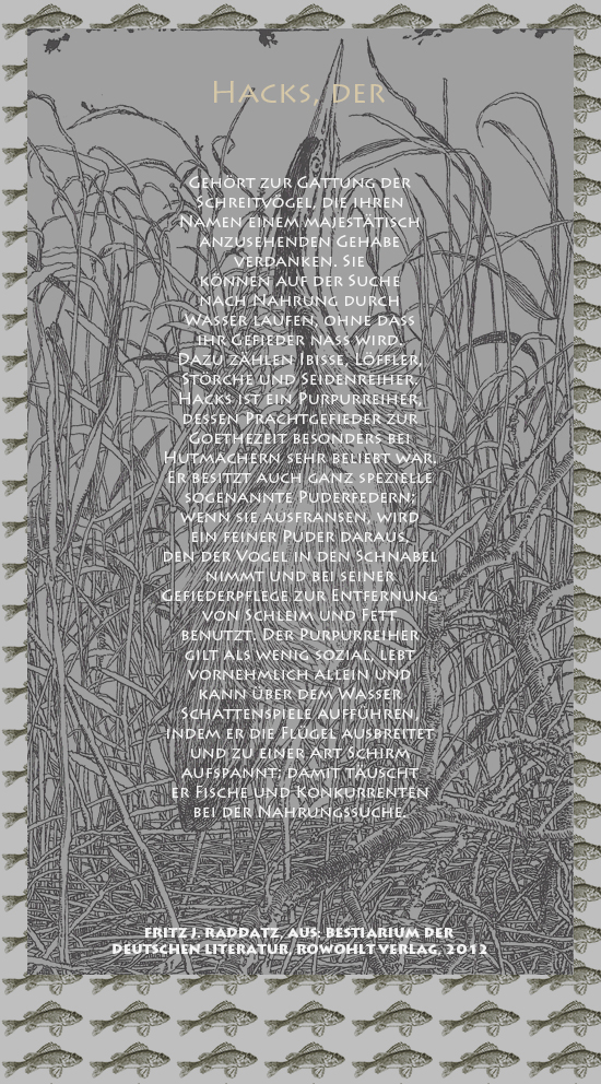 Bild von Juliane Duda mit den Zeichnungen von Klaus Ensikat und den Texten von Fritz J. Raddatz aus seinem Bestiarium der deutschen Literatur. Hier „Hacks, der“.