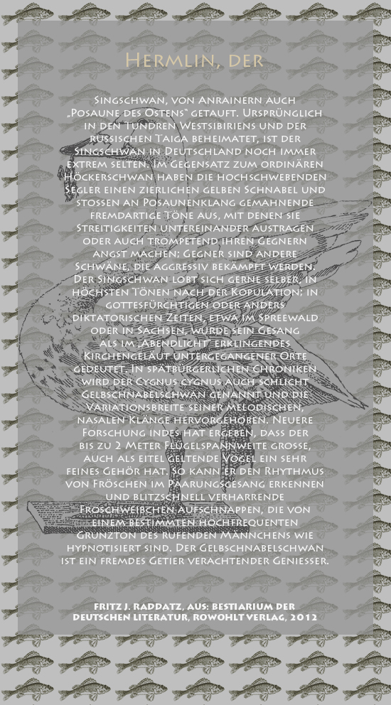 Bild von Juliane Duda mit den Zeichnungen von Klaus Ensikat und den Texten von Fritz J. Raddatz aus seinem Bestiarium der deutschen Literatur. Hier „Hermlin, der“.