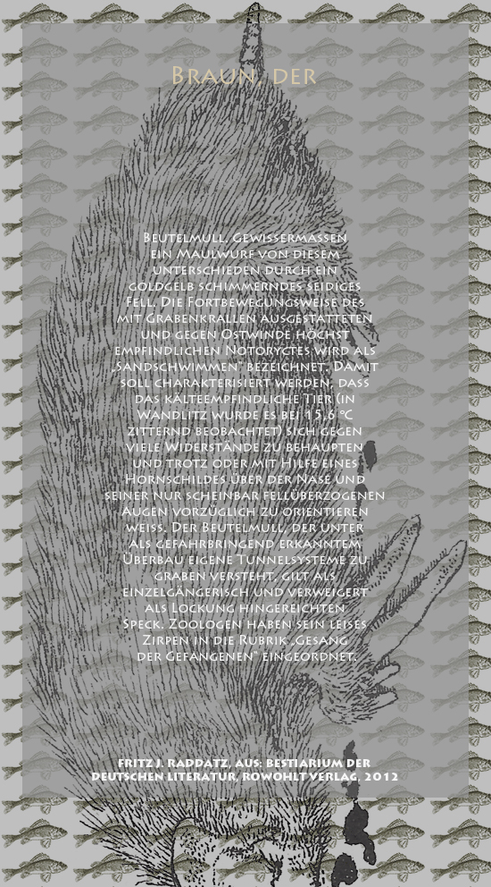 Bild von Juliane Duda mit den Zeichnungen von Klaus Ensikat und den Texten von Fritz J. Raddatz aus seinem Bestiarium der deutschen Literatur. Hier „Braun, der“.