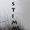 Wolfgang Hilbig: STIMME STIMME