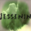 Guntram Vesper: Ich hörte den Namen Jessenin