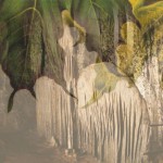 Mashup von Juliane Duda zu dem Buch von Norbert Hummelt: singtrieb