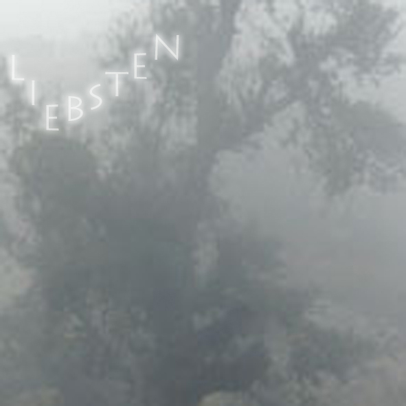 Mashup von Juliane Duda zu dem Buch von Johannes Bobrowski: Meine liebsten Gedichte