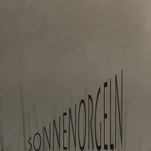 Mashup von Juliane Duda zu dem Buch von Dorothea Grünzweig: Sonnenorgeln Mashup von Juliane Duda zu dem Buch von Dorothea Grünzweig: Sonnenorgeln