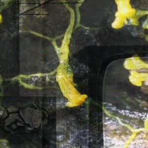 Mashup von Juliane Duda zu dem Buch von Kathrin Schmidt: Poesiealbum 179