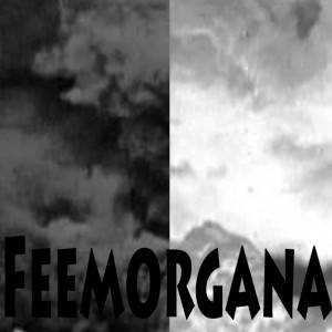 Mashup von Juliane Duda zu dem Buch von Helga M. Novak: Märkische Feemorgana