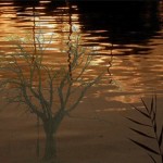 Mashup von Juliane Duda zu dem Buch von Theodor Kramer: Unser Land