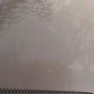 Mashup von Juliane Duda zu dem Buch von Ossip Mandelstam: Die beiden Trams