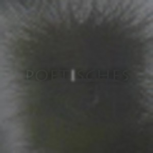 Mashup von Juliane Duda zu dem Buch von Karl Krolow: Poetisches Tagebuch