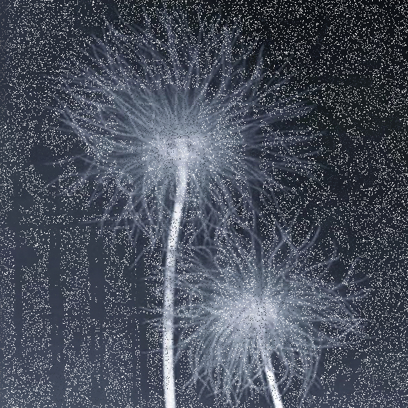 Mashup von Juliane Duda zu dem Buch von Rolf Haufs: Vorstadtbeichte