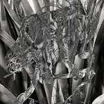 Mashup von Juliane Duda zu dem Buch von Itzik Manger: Poesiealbum 205