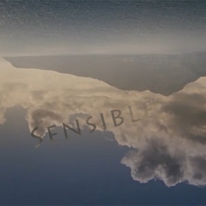 Mashup von Juliane Duda zu dem Buch von Reiner Kunze: Sensible Wege