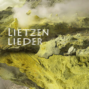 Mashup von Juliane Duda zu dem Buch von Uwe Kolbe: Lietzenlieder