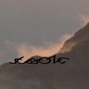 Mashup von Juliane Duda zu dem Buch von Ulrike Draesner: Subsong