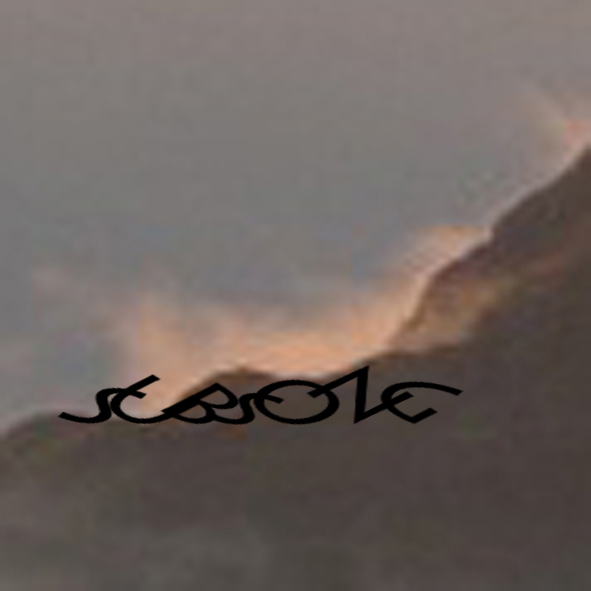 Mashup von Juliane Duda zu dem Buch von Ulrike Draesner: Subsong