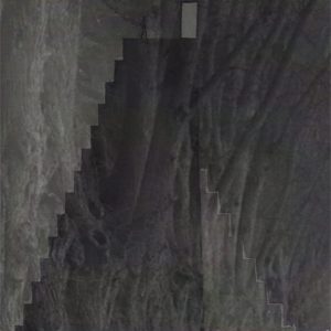 Mashup von Juliane Duda zu dem Buch von Wolfram Malte Fues: dual digital