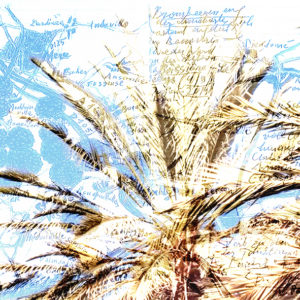 Mashup von Juliane Duda zum Buch von Peter Handke: Poesiealbum 352 Mashup von Juliane Duda zum Buch von Peter Handke: Poesiealbum 352