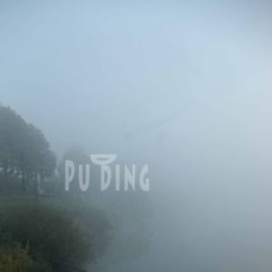 Mashup von Juliane Duda zum Buch von Adolf Endler: Der Pudding der Apokalypse – Lesung (CD)