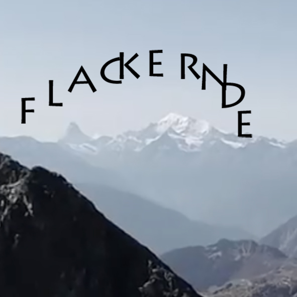 Mashup von Juliane Duda zum Buch von Jan Röhnert: Springende Gedanken und flackernde Bilder