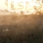 Mashup von Juliane Duda zu dem Buch von Dagmar C.G. Lorenz: Ilse Aichinger