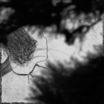 Mashup von Juliane Duda zum Buch von Cees Nooteboom: Abschied Mashup von Juliane Duda zum Buch von Cees Nooteboom: Abschied