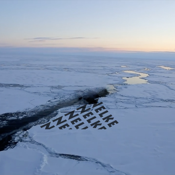 Mashup von Juliane Duda zum Buch von Franz Fühmann: Die Nelke Nikos