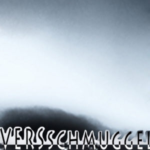 Mashup von Juliane Duda zu dem Buch von Aurélie Maurin & Thomas Wohlfahrt (Hrsg.): VERSschmuggel – transVERSal