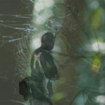 Mashup von Juliane Duda zu dem Buch von Barbara Guest: „Fallschirme, Geliebter…”