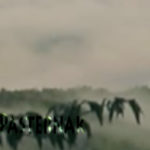 Mashup von Juliane Duda zu dem Buch von Gerd Ruge: Pasternak Mashup von Juliane Duda zu dem Buch von Gerd Ruge: Pasternak