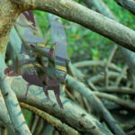 Mashup von Juliane Duda zu dem Buch von Rike Bolte mit Felipe Sáez Riquelme (Hrsg.): ein zaun im meer / una reja en el mar Mashup von Juliane Duda zu dem Buch von Rike Bolte mit Felipe Sáez Riquelme (Hrsg.): ein zaun im meer / una reja en el mar