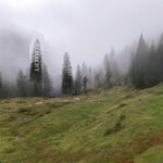 Mashup von Juliane Duda zu dem Buch von Jörg Schieke: Silverman schickt mich