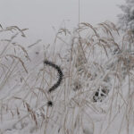 Mashup von Juliane Duda zu dem Buch von Hans-Georg Gadamer: Wer bin Ich und wer bist Du?