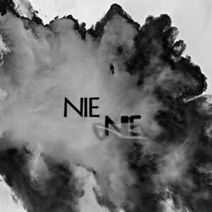 Mashup von Juliane Duda zu dem Buch von Franz Hodjak: Was nie wieder kommt