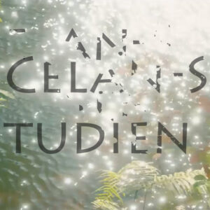 Mashup von Juliane Duda zu dem Buch von Peter Szondi: Celan-Studien