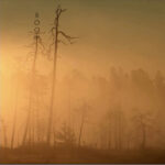 Mashup von Juliane Duda zu der Falzdichtung BOOM