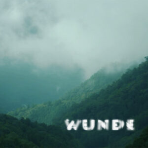 Mashup von Juliane Duda zu dem Buch von Ingolf Brökel Und Thomas Wagner: Zeitenwunde (CD)