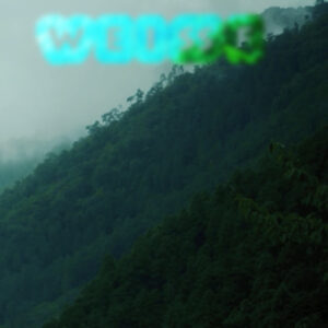 Mashup von Juliane Duda zu dem Buch von Evelyn Schlag: ins weiße meer der schrift