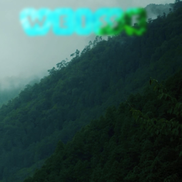 Mashup von Juliane Duda zu dem Buch von Evelyn Schlag: ins weiße meer der schrift