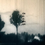 Mashup von Juliane Duda zu dem Buch von Felix Philipp Ingold: Ortstermine